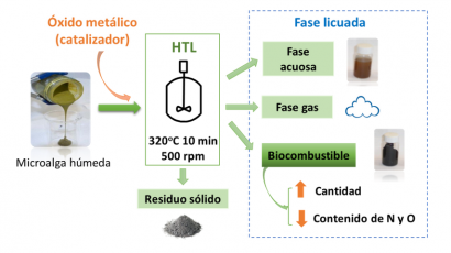 Nuevo biocarburante con algas en el laboratorio, pero ni un litro a la venta