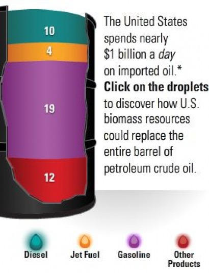 US Energy Department unveils interactive widget to support bio-fuels