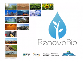 Es ley RenovaBio, la Política Nacional de Biocombustibles