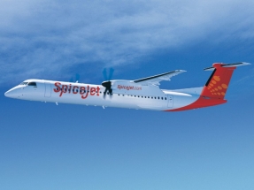 La jatrofa impulsa el primer vuelo con biocarburantes de la India