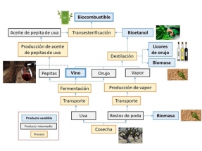 20.000 toneladas anuales de biodiésel a partir de residuos del vino y de bioetanol