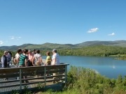 Los nuevos usos del monte aportan más empleo y mejor desarrollo rural