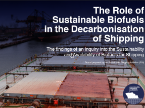 Estiman un treinta por ciento de biocarburantes en el transporte marítimo para 2050