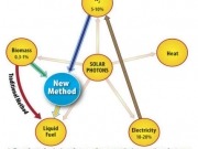 Energy-dense biofuel from cellulose close to being economical