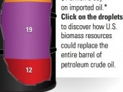 US Energy Department unveils interactive widget to support bio-fuels