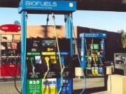 EPA strikes deal on biofuel blending targets