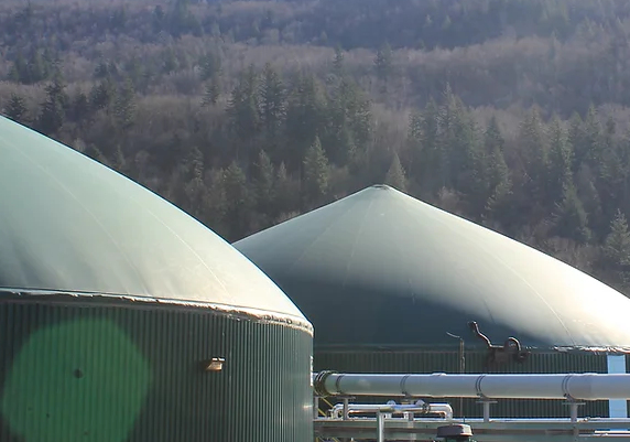 EverGen Signs 20-Year RNG Agreement with FortisBC at the Fraser Valley Biogas Facility