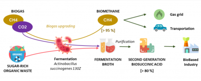 Módulos para plantas de biogás que producen biometano y compuestos para pinturas y adhesivos