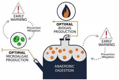 Cómo contribuir a incrementar en un 50% la eficiencia de la producción de biogás con microalgas