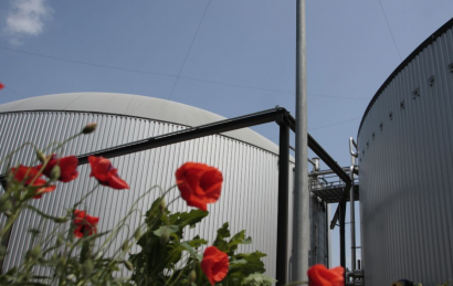 Regatrace aboga por requisitos menos complejos para armonizar el mercado transfronterizo de biometano