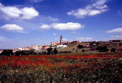El biogás y la fotovoltaica se unen para sustentar diecisiete comunidades energéticas en Córdoba