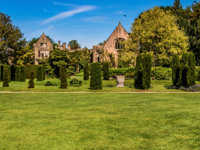 Una compañía británica planea construir la primera planta de energía alimentada con césped 