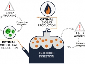 Cómo contribuir a incrementar en un 50% la eficiencia de la producción de biogás con microalgas