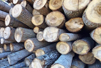 Cuestionan la sostenibilidad de la transformación en biomasa de la central de La Pereda de Hunosa