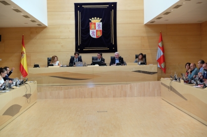 Castilla y León se une al sector para reclamar una rebaja del IVA de la biomasa forestal