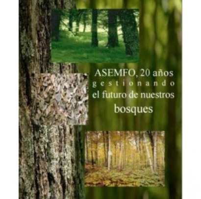 Asemfo confirma el creciente peso de la energía en la industria forestal
