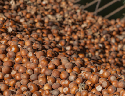 Avebiom y Circe temen una regulación europea muy estricta sobre las emisiones de agrobiomasas