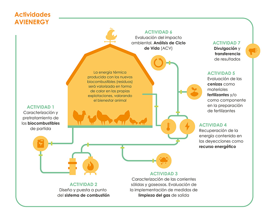 AVIENERGY Actividades