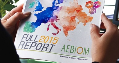 La biomasa se consolida como primera fuerza renovable en la UE