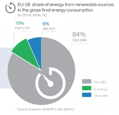 El 95,6% de la bioenergía europea se abastece con recursos propios