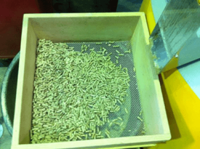 Pélets de paulonia: cenizas escasas y poco corrosivos para las calderas