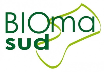 ¿Buscas Biomasa? Ahora es más fácil con Biomasud