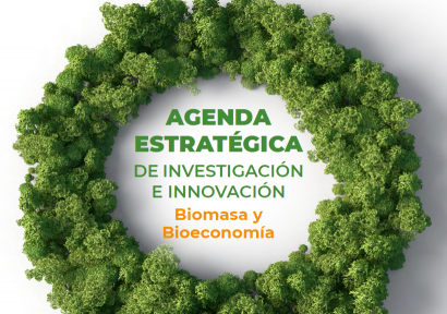 La agenda de investigación e innovación en biomasa no descarta mantener centrales de carbón con biocombustibles