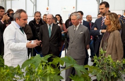 Los pr&iacute;ncipes se acercan a las algas