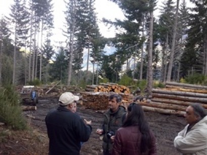 España colabora en dotar de mayor eficiencia a la biomasa chilena