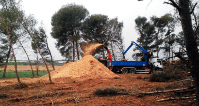 La patronal forestal pide un plan de estimulación para el sector de la bioenergía