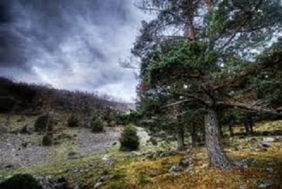 Cooperaci&oacute;n interterritorial a favor&nbsp; del uso sostenible de la biomasa&nbsp;