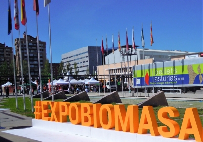 Expobiomasa enfoca la mirada hacia el ejemplo de Finlandia