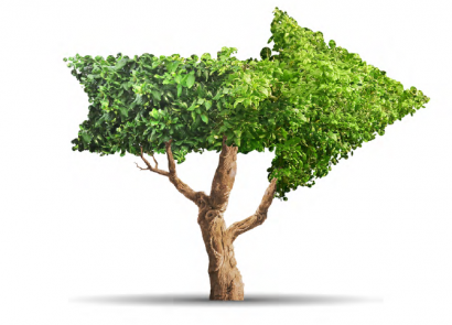 La investigación europea en bioenergía diseña una senda para contribuir a descarbonizar con sostenibilidad