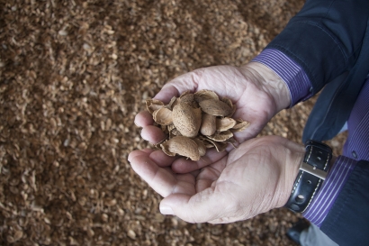 Huesos de aceitunas y cáscaras de almendras para calderas de biomasa: mejor certificados