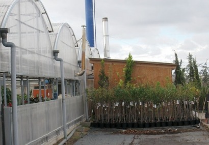 España cuenta con 2.052 calderas de biomasa en grandes instalaciones