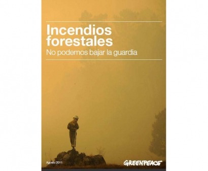 Greenpeace apuesta por la bioenerg&iacute;a para no bajar la guardia ante los incendios
