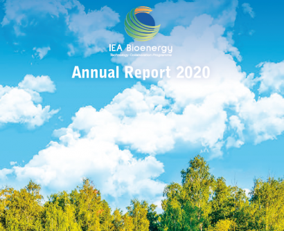 Nuevos informes de Bioenergy Europe e IEA Bioenergy reiteran la necesidad de apoyo a la bioenergía