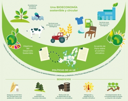 La bioeconomía y la bioenergía tienen que estar muy presentes en el plan de recuperación y en la transición ecológica