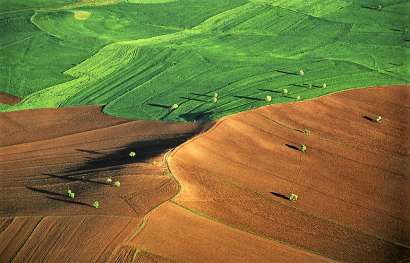 El IPCC cree en la bioenergía para luchar contra el cambio climático con una buena gestión de la tierra
