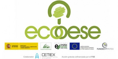 Eficiencia energética con la biomasa por bandera