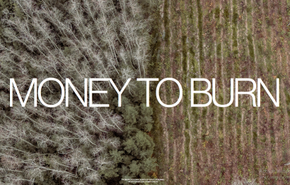 La posible modificación de los criterios de sostenibilidad de la bioenergía desata el debate en Europa