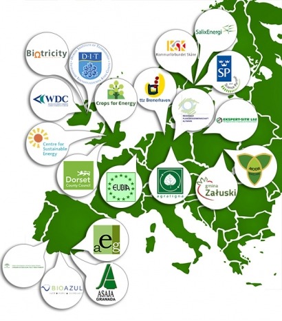 A falta de centrales eléctricas, cultivos energéticos para redes de calor