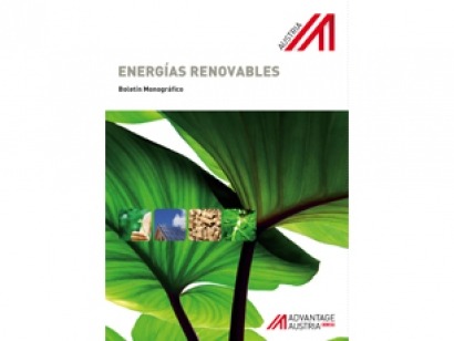 Austria instala cada a&ntilde;o 57.000 calderas y estufas que utilizan biomasa