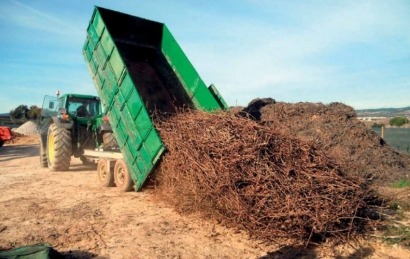 La uva, para el vino; el sarmiento, a la caldera