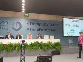 Tras la estela de la apuesta por la bioenergía contra el cambio climático dejada por la COP25