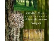 Asemfo confirma el creciente peso de la energía en la industria forestal