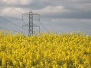 Europa debe producir bioenergía de manera más eficiente