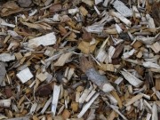 Forestalia y Ence se reparten 150 de los 200 MW de la subasta de biomasa