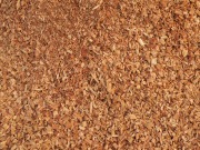 “Biomasa, el petróleo de Extremadura”