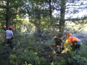 “Una tasa que mata la creación de empleo”